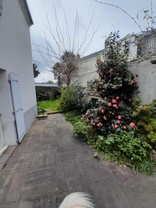 L'Octroi Nantes-6 Pers.-Jardin-Proche Tt Comm. Villa Kültér fotó
